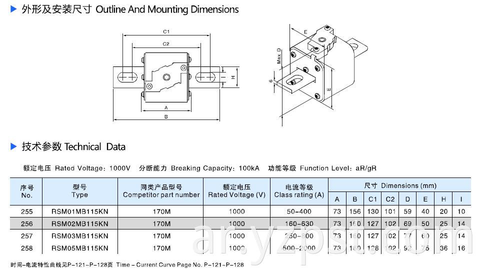 Square semiconductor protection fuse 170M (3)